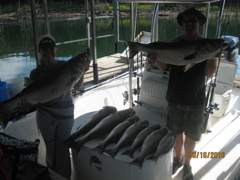 Nice Striped Bass